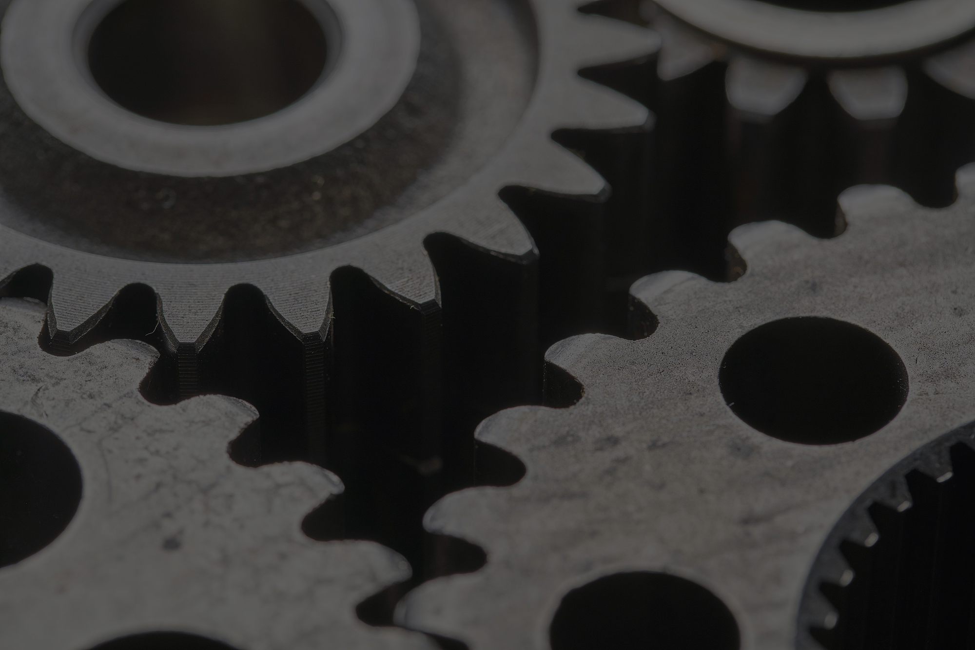 Elevate and Distinguish Your Established Products